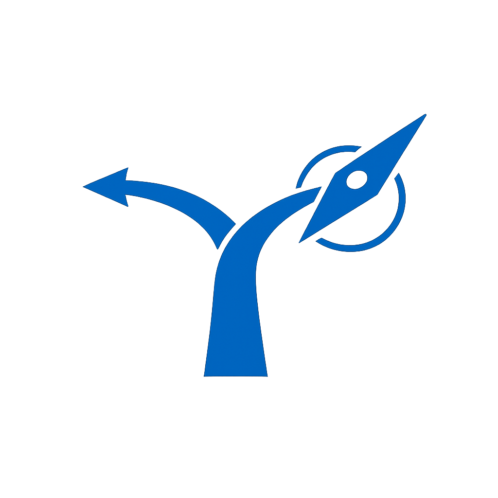 Executive Career Transitions